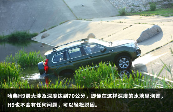 h9(zhn)ԽҰʥء,҂һӣ09111412.png