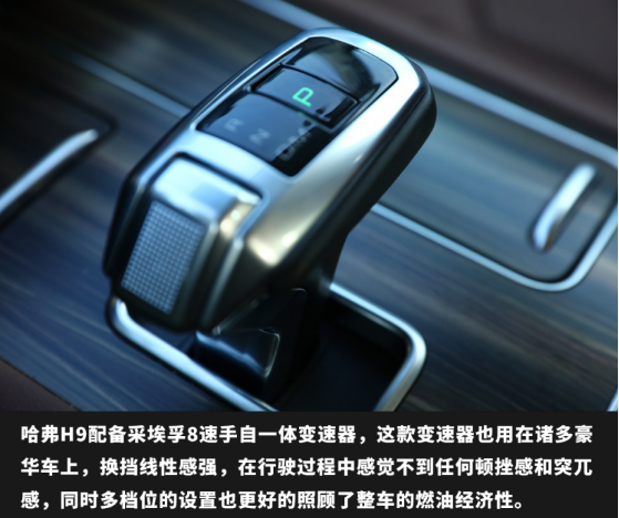 h9(zhn)ԽҰʥء,҂һӣ09111624.png